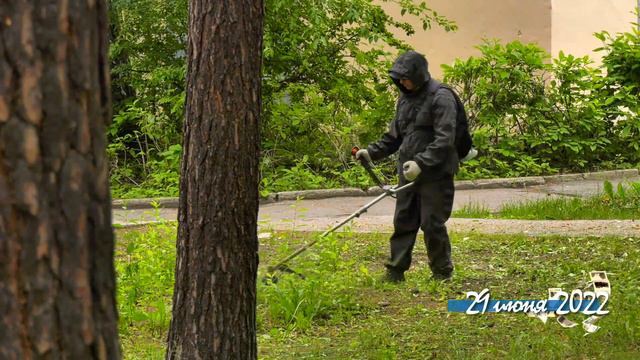 Рубрика «Снежинск сегодня»