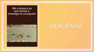 Return of the mount Hua sect react to... (1.5/3)