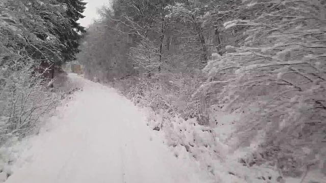 Führerstandsmitfahrt Wiehltalbahn Wiehl - Osberghausen