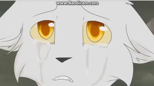 Коты воители " история семьи " смотреть онлайн