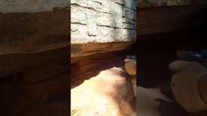 ремонт фундамента своими руками