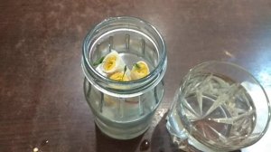 По просьбе друзей - проращивание семян в скрутке