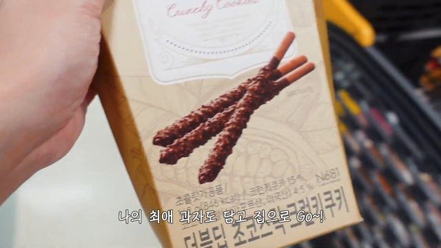 vlog✨ 마트에서 캠핑용품 구경 / 호텔 뷔페 회식 / 새로운 강아지 입양 🐶