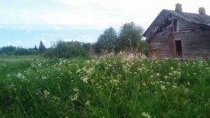 Красота!Деревня Алексино это тоже райское местечко!