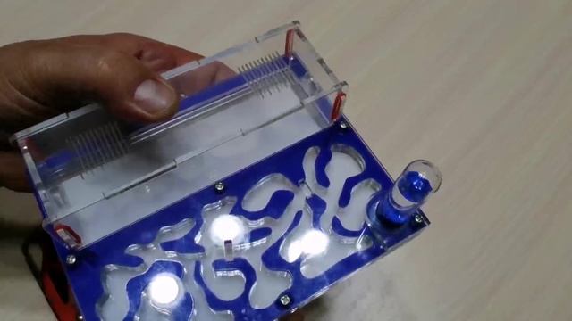 МУРАВЬИНАЯ ФЕРМА с муравьями ЗАСЕЛЕНИЕ АЛИЭКСПРЕСС