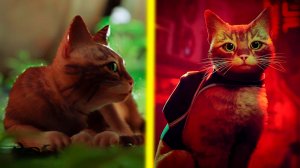 STRAY - КИБЕРПАНК КОТОРЫЙ МЫ ЗАСЛУЖИВАЕМ! ПК геймплей прохождение #1