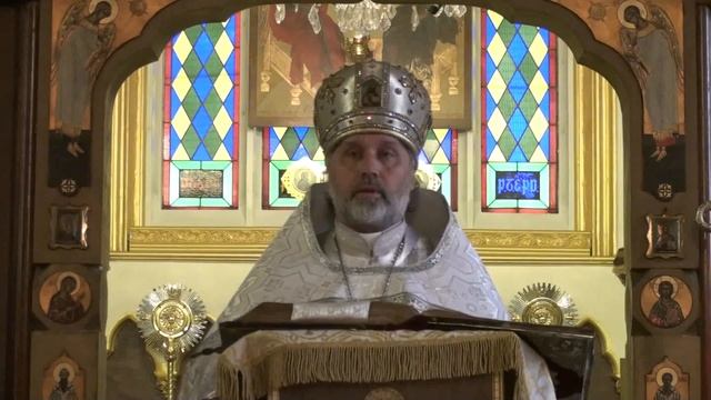 Проповедь на неделю 12-ю по Пятидесятнице (2015), о богатом юноше смотреть онлайн