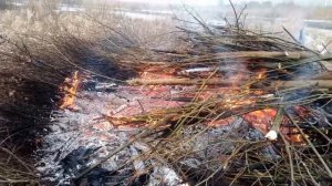 Сжигание порубочных остатков (20.12.2018)