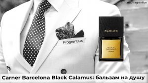 Carner Barcelona Black Calamus: бальзам на душу