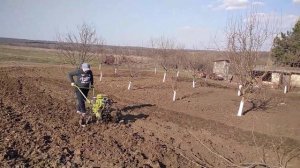 Работа на мотоблоке.