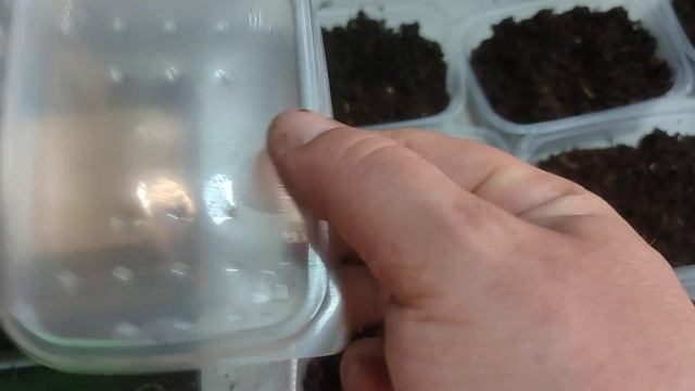 "именной дырокол" в работе. смотреть онлайн