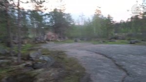 Природа Карельского перешейка. Окрестности Вещево, ч. 2