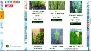 Как заказать сеянцы хвойных почтой на сайте zelenka-com.ru