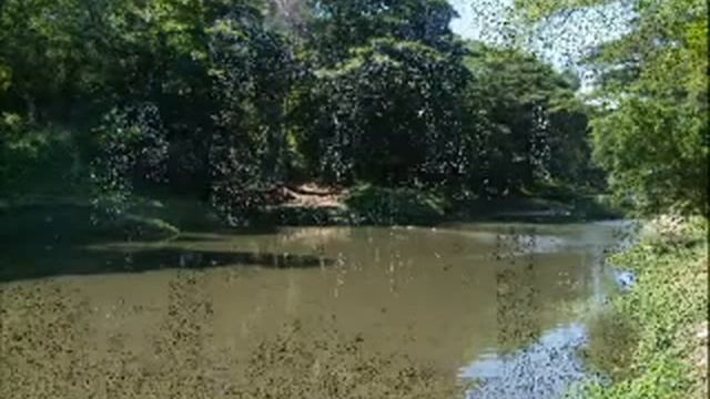 Globally famous - Cuba's Salsa - ♫ - upbeat Latin instrumental смотреть онлайн