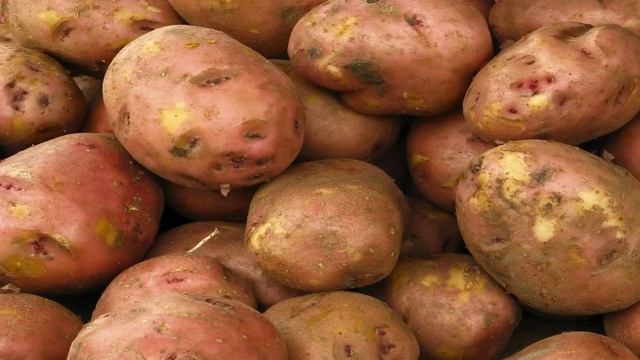 КАК СОХРАНИТЬ КАРТОФЕЛЬ