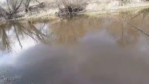 ЩУКА. РЫБАЛКА. Река Веля МОСКОВСКАЯ ОБЛАСТЬ