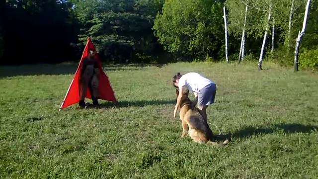 Желя .тренинг 14,08,18 смотреть онлайн