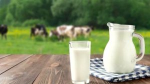 Польза и вред молока. Состав коровьего молока