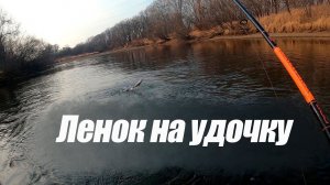 Осенний ленок на удочку. Поднимаю муть со дна и на неё идёт ленок. Рыбалка на ленка.На горной речке.