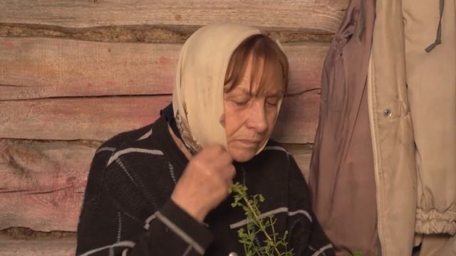 Возвращайся домой смотреть онлайн