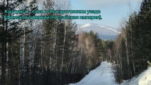 Поездка в лес  Ликвидированная деревня Куштумга / шашлык