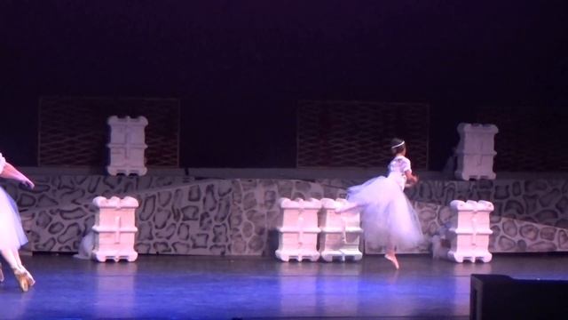 Giselle Ballet Presentation... Karen смотреть онлайн