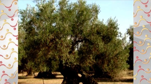 АЗН Биология. Виды симбиоза смотреть онлайн