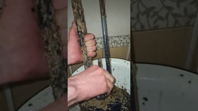 вскрываем бойлер в регионе с жесткой водой смотреть онлайн