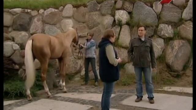 По коням! Породы смотреть онлайн