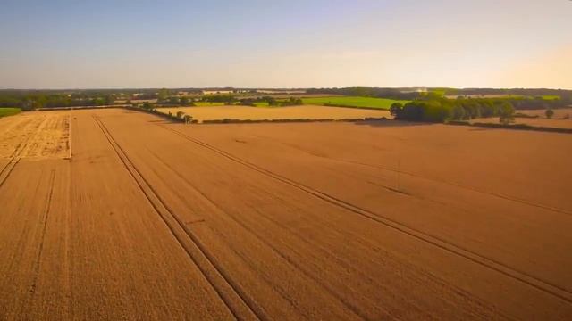 ДА, Я РУССКИЙ ВАРВАР! И ВОТ ПОЧЕМУ.. смотреть онлайн