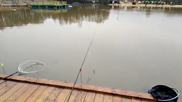 Рыбалка в РК Марлин смотреть онлайн