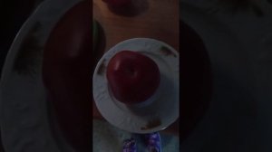 томат Могучее вымя!