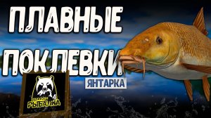 RF4 ПЛАВНЫЕ ПОКЛЕВКИ С НЕОЖИДОННОСТЯМИ #рр4