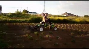 Вторая обработка участка ежами на минитракторе