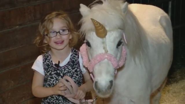 Нашли первого ЕДИНОРОГА! смотреть онлайн