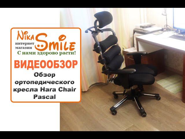 Обзор ортопедического кресла Hara Chair Pascal