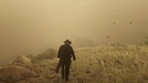 Как купить Red Dead Redemption 2 в России?