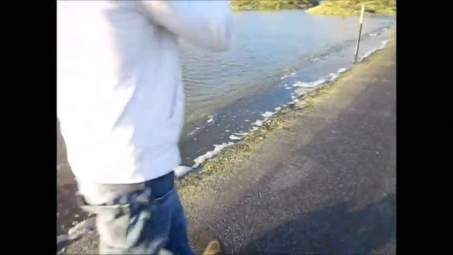 Les salines, partie 2 смотреть онлайн