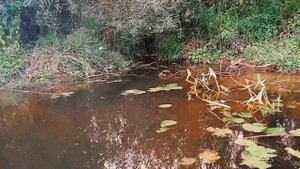 РЫБАЛКА НА ЩУКУ И СУДАКА В  ДАЛЕКОМ ОТ ЦИВИЛИЗАЦИИ МЕСТА.mp4