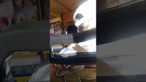 Мужик играет на гармоне в автобусе