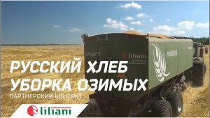 Уборка озимой пшеницы с бункером-перегрузчиком Лилиани 22/28. Русский хлеб 2022