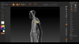 Zbrush 2019 RIGGING