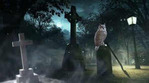 ЗАБРОШЕННОЕ КЛАДБИЩЕ | ИСТОРИЯ НА НОЧЬ ИЗ КОЛЛЕКЦИИ МИСТИКИ И УЖАСОВ