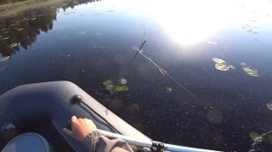 Проверка поставушек ловля щуки на летнюю жерлицу