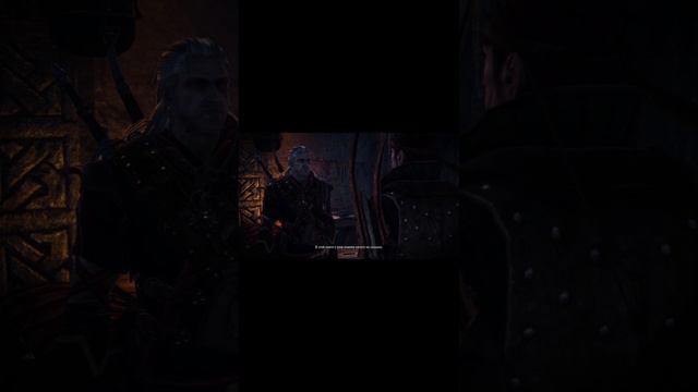 The Witcher 2: Assassins of Kings / ЛАДНО! / #shorts