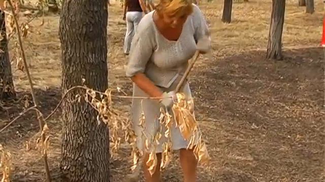 Владимир Медяник, Энгельсово, субботник.avi смотреть онлайн