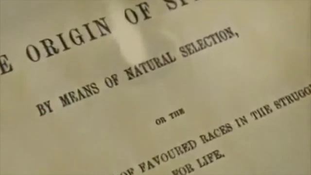 жгутиковая бактерия и клетка - кто их создатель? Нарушение теории Дарвина? смотреть онлайн