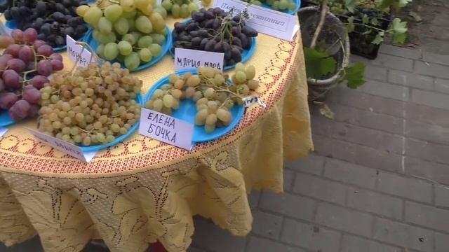Выставка-ярмарка 