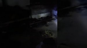 Москва бомжи в подвале