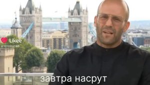 Чем гуще лес